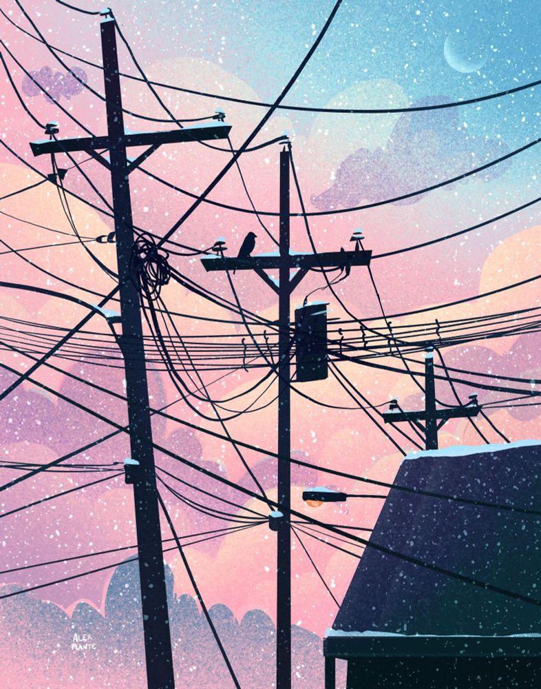 <i>Untitled</i> by Alex Plante