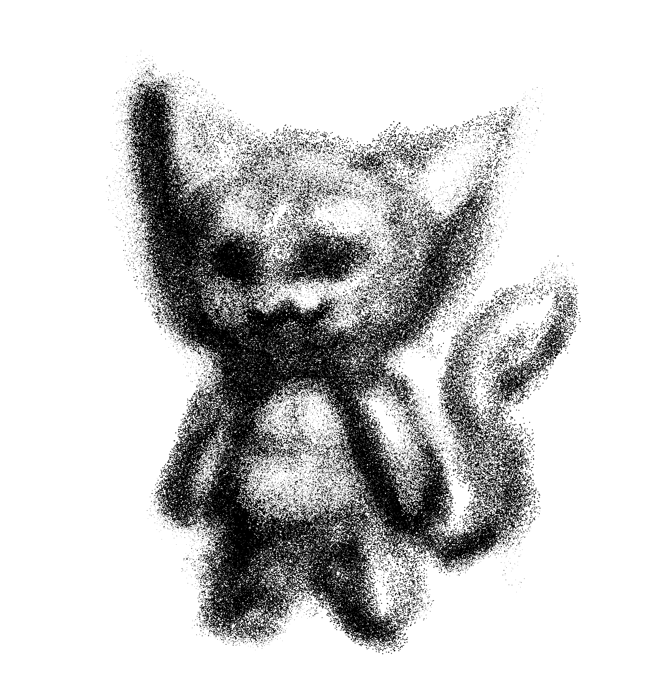 cat that is scary