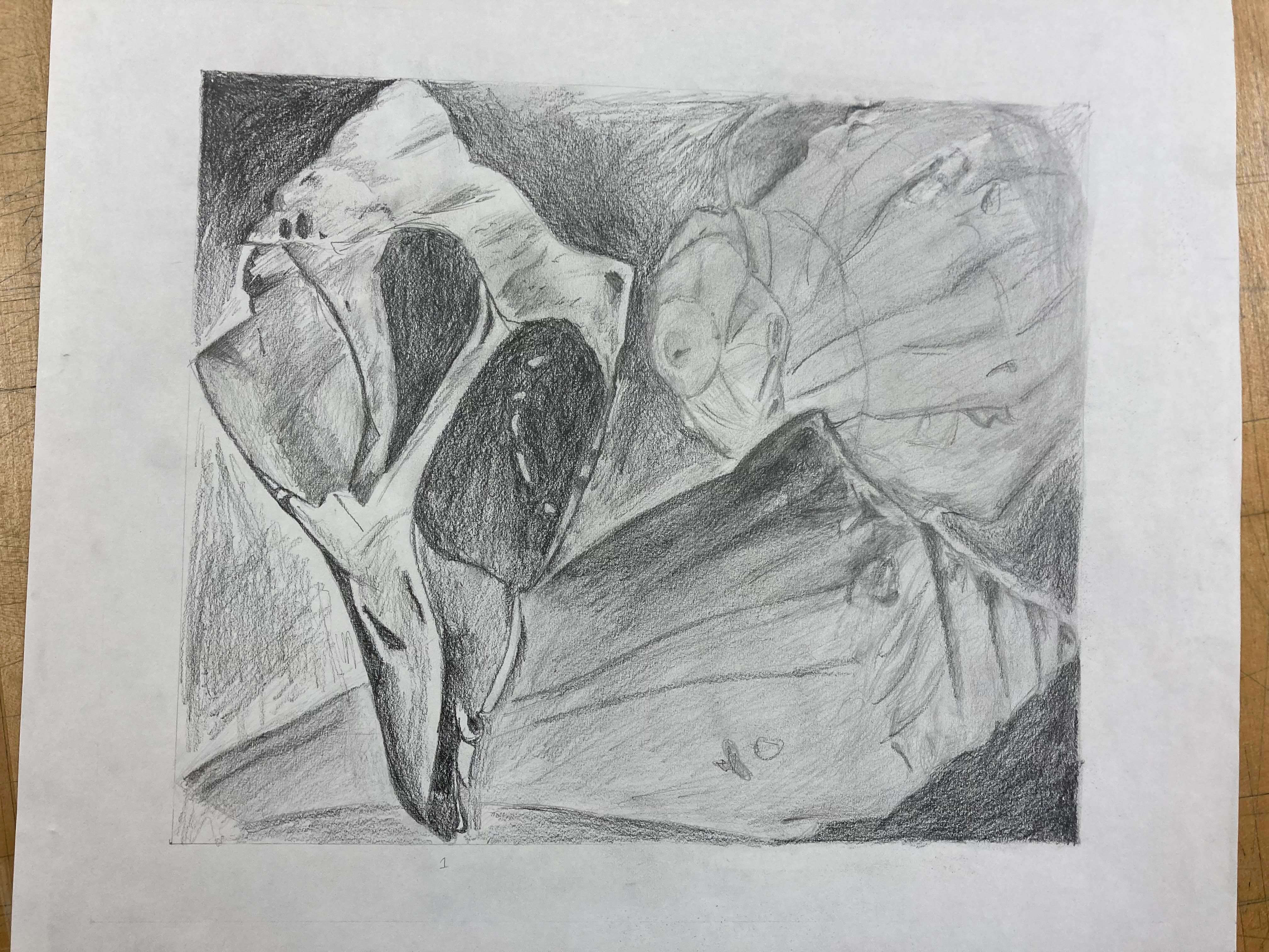study of a shell