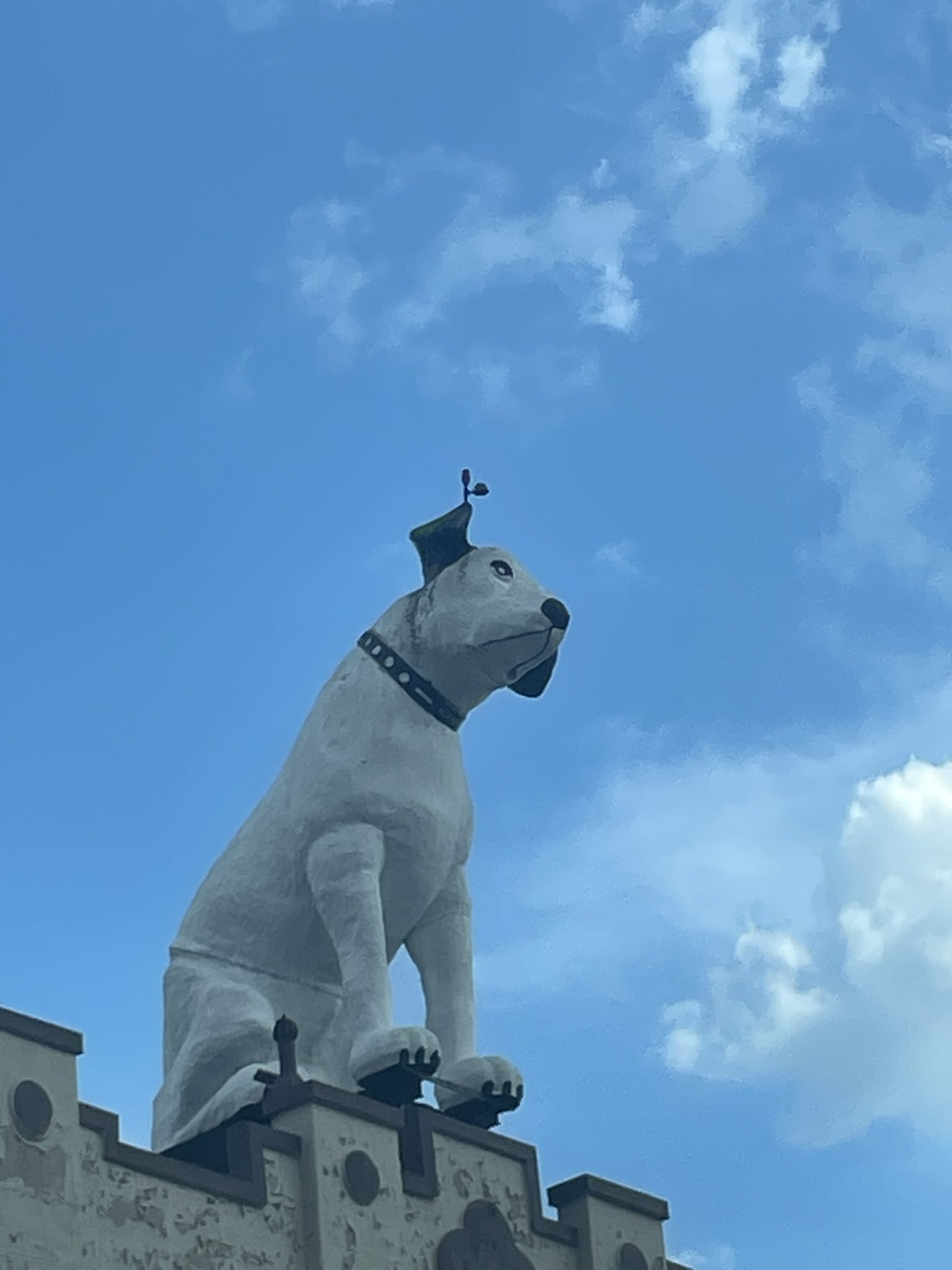 bring out the big dogs