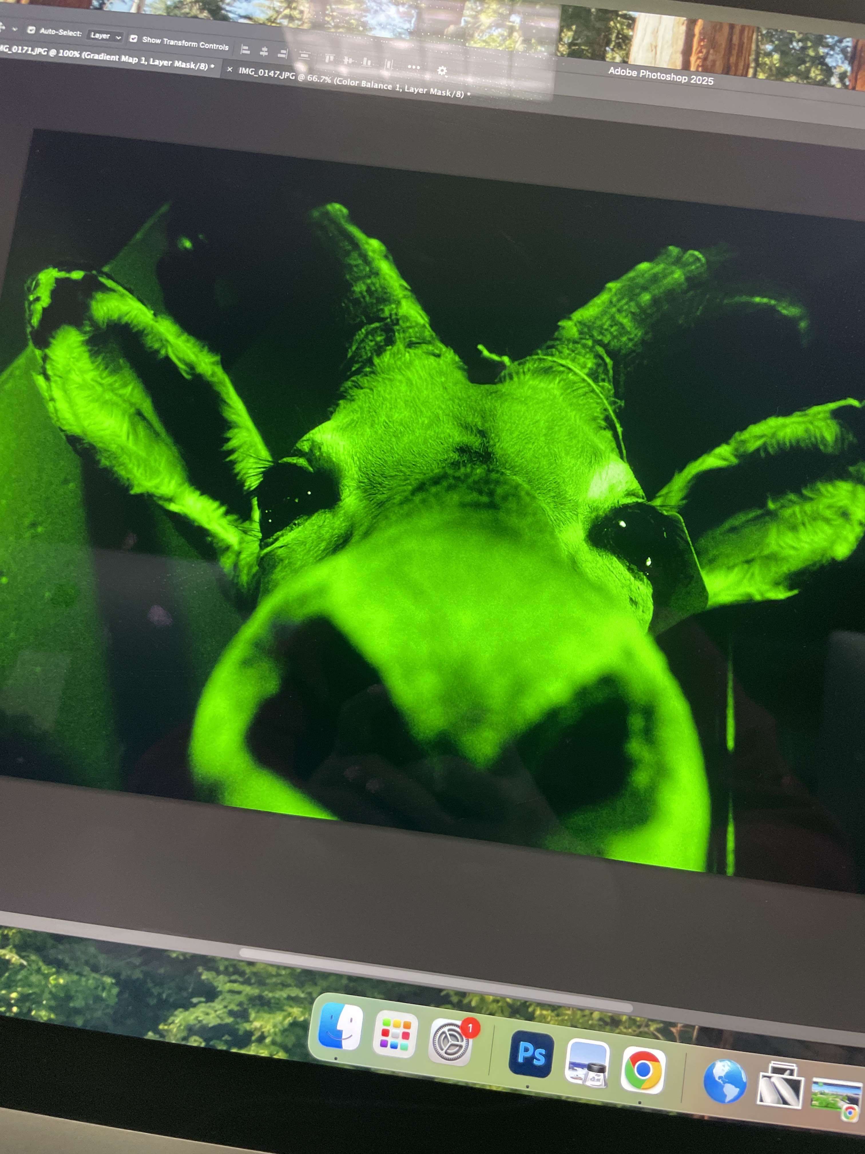 me editing this green deer