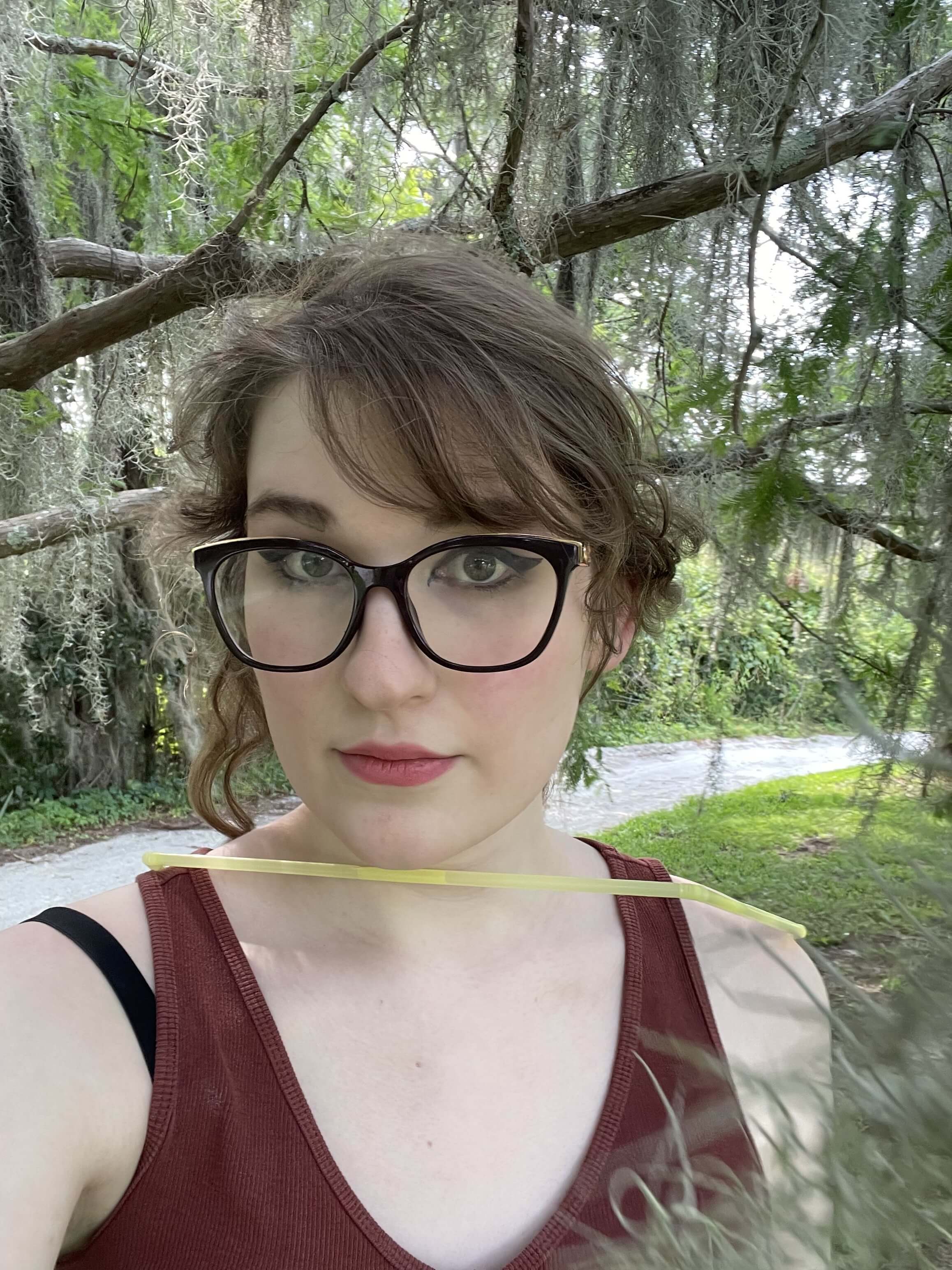in the trees